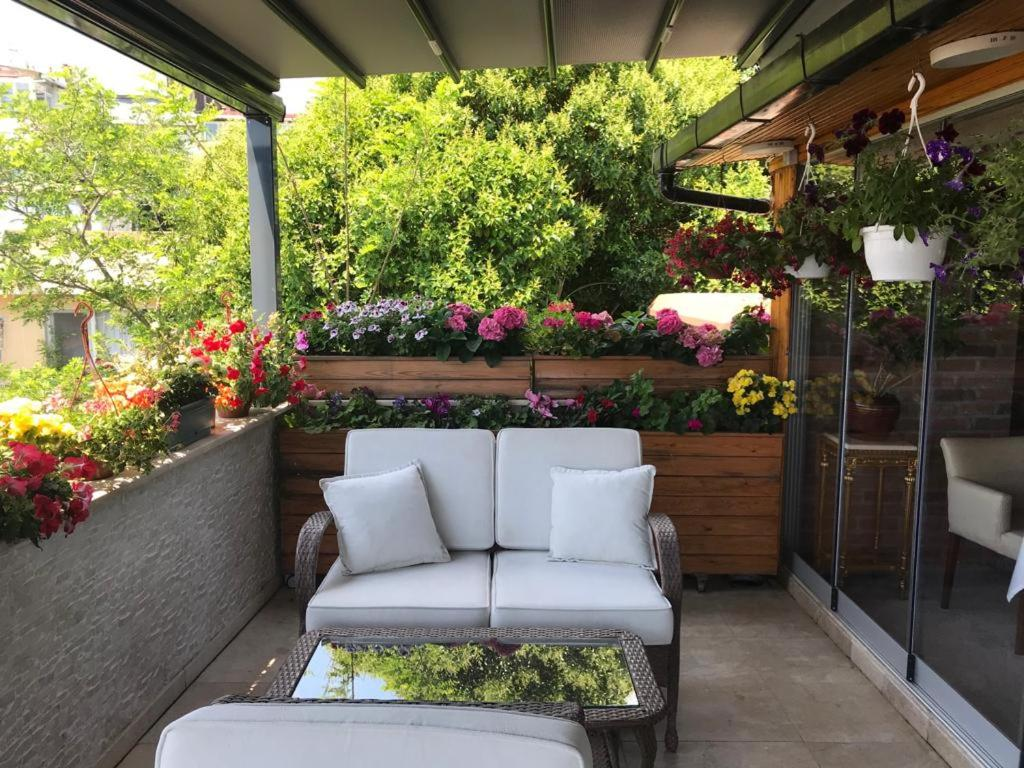 Terrace with a stunning view