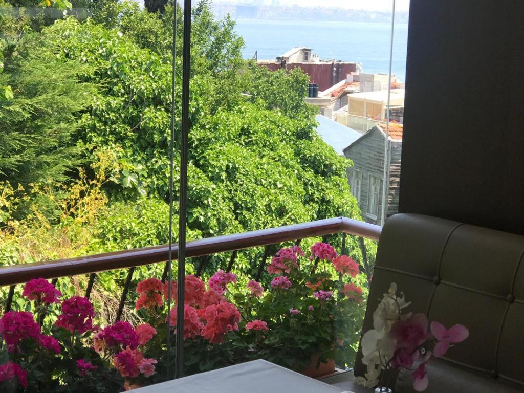 Terrace with a stunning view